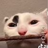 _yrmom_