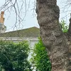 hollyseymour04