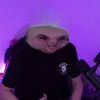 ch4rdzi