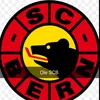 scbfan81