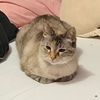 binkle47