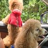 furmummyof2