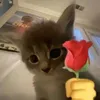 luvluvluvf