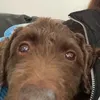 sophie.louise.b