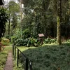 manu_brito09