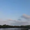 micaelavirgo51