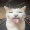 ihatetomatossomuch