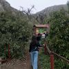 soy_dannax