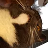 h3rrkater._