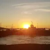 hughtierney1