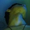 dxrwxnzzz0