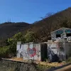 halla.step