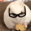 yum3jikun