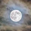 o_ollo.da.meiga