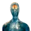 5d_awakening