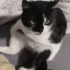 za_jett