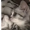 _kamilkaa_k