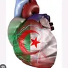 12_tebessa