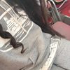 nanitaa_jkj