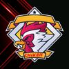chiken_mx