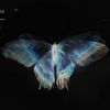 gh0stbutterflyx