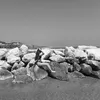 francescaspada05