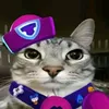 mimi_tvtvt