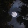 moonalkaldi