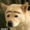 babyandy50