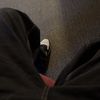 stravxy