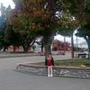 ximeniitabeleen