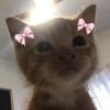 mimi_crt1