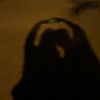 y0ur_fav_luna