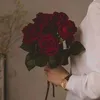 ayaalmerstani