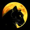 khanpanther