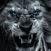 insaine_viking