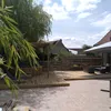 davsaro