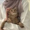 haneen631