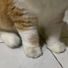 tzaltedcaramel