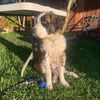 zeus.the.saint