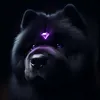 liljunovert