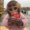 emmamozgiel