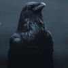 mohammedmadni88