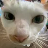 user747501031115