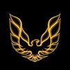 lsxmcneal26