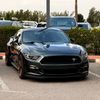 badstang_s550