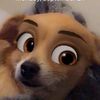 dee_lerious