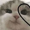 hanahjd01