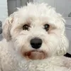 sleepytoto2023