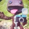 rj9dits